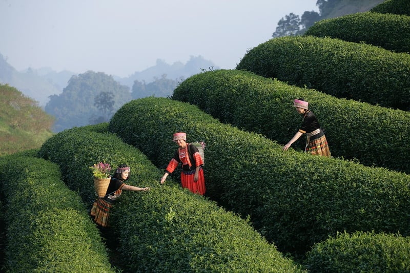 Magical dining experiences