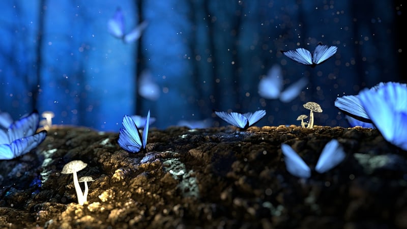 Magical forests